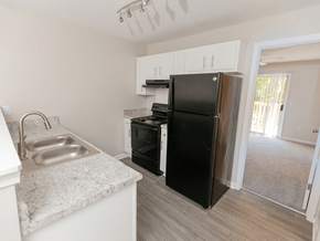 Burlington apartment for rent - kitchen with double sink