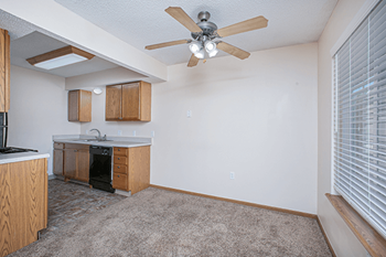 Ceiling fans