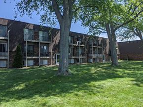 Sandusky apartment for rent - A large tree stands in front of a brick apartment building.