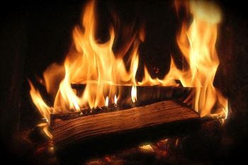 Wood burning fireplace