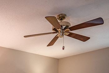 Ceiling fan