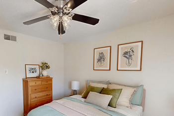 Ceiling fan