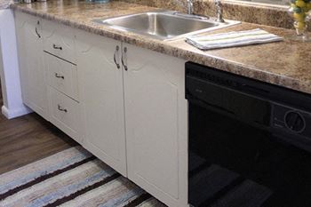 *Dishwasher