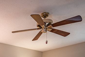Ceiling fans