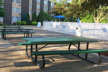 Bbq/picnic area