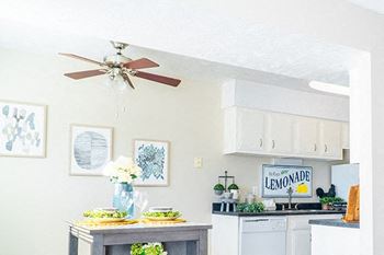 Ceiling fan(s)