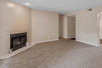 Gas fireplace