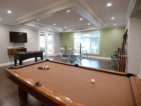 Spring Lake apartment for rent - a game room with a pool table and a television