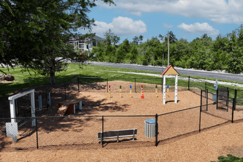 Dog park