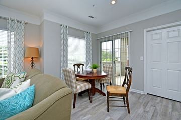 Greenville apartment for rent - A living room with a tan couch, a wooden chair, and a table with a plant on it.
