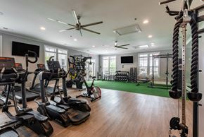 Greensboro apartment for rent - a home gym with weights and cardio equipment and a green rug