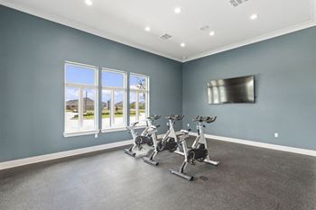 Lifestyle fitness program