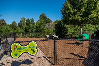 Bark park with agility equipment at hawthorne at the greene