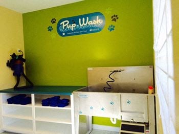 Pamper your furry friend at the pup wash at hawthorne at murrayville
