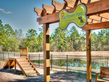 Bark park with agility equipment
