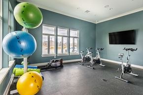 Lake Charles apartment for rent - gym with exercise balls and windows at the district flats apartments in lenexa