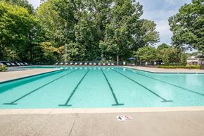 Raleigh apartment for rent - a large swimming pool with trees in the background