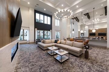La Porte apartment for rent - A modern living room with a large grey rug and a grey sofa.