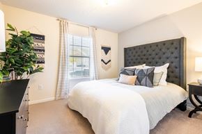 Rural Hall apartment for rent - Plush Carpeting