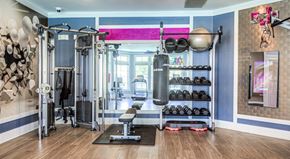 Myrtle Beach apartment for rent - A gym with a variety of equipment including a punching bag.