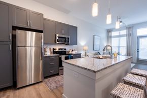 Raleigh apartment for rent - Altitude Raleigh Model Apartment