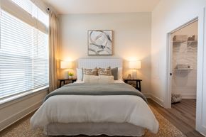 Raleigh apartment for rent - Altitude Raleigh Apartment Bedroom with a large walk-in closet and large window
