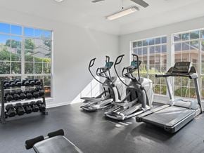 Athens apartment for rent - A spacious gym with treadmills, elliptical machines, and a rack of dumbbells.