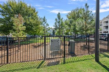 Bark park
