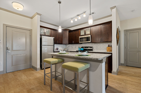 Asheville apartment for rent - Modern Kitchen with Stainless Steel Appliances and Granite Countertops