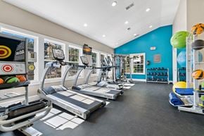 Asheville apartment for rent - 24-Hour Fitness Center With Health Hub