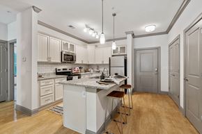 Weaverville apartment for rent - Modern Custom Kitchen With Granite Countertops and Stainless Steel Appliances