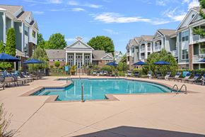 Charlotte apartment for rent - A large swimming pool surrounded by a patio with chairs and umbrellas.