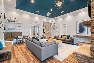 Greensboro apartment for rent - a living room with couches and chairs and a fireplace