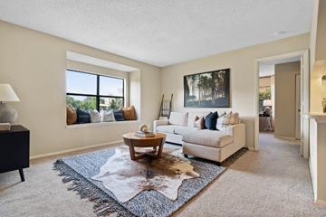 Asheville apartment for rent - A living room with a white couch and a cowhide rug.