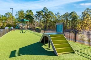 Wilmington apartment for rent - Pet Park with Dog Agility Equipment and Turf Grass
