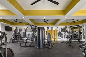 Greenville apartment for rent - A gym with a variety of equipment including treadmills, weights, and a bench press.