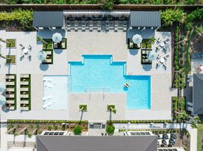 Belville apartment for rent - A large swimming pool surrounded by lounge chairs and umbrellas.