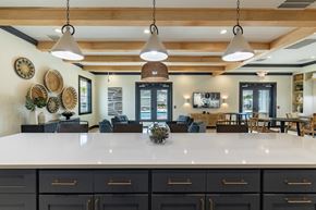 Sneads Ferry apartment for rent - the kitchen and living room of a home with a large counter top
