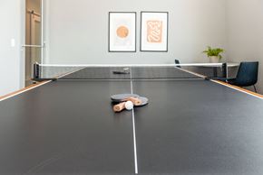 Huntsville apartment for rent - a ping pong table in a conference room with two balls on it