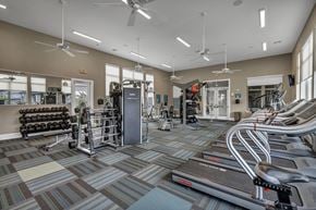 San Marcos apartment for rent - Fitness Center with Cardio and Weight Training Equipment