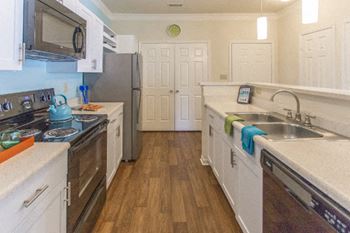 Sleek black energy efficient appliances*