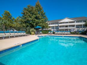 Wilmington apartment for rent - Large Swimming Pool with Pool Chairs and Umbrellas