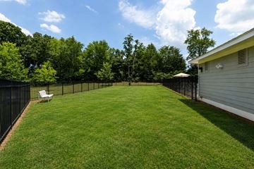 Madison apartment for rent - A backyard with a white chair and a green lawn.
