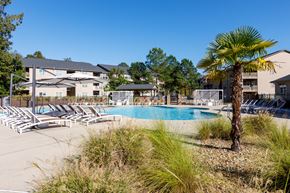 Fayetteville apartment for rent - A palm tree stands next to a pool in front of a building.