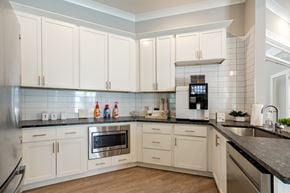 Greensboro apartment for rent - a kitchen with white cabinets and a counter top and a sink
