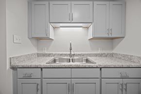 Greenville apartment for rent - Kitchen counter with a sink and grey painted cabinets above.