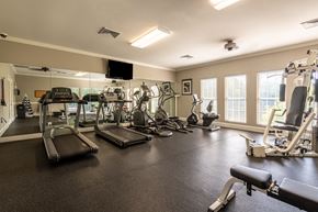 Raleigh apartment for rent - a gym with cardio machines and weights and a tv