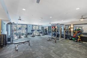 Rosemary Beach apartment for rent - a gym with weights and cardio equipment at the preserve at greatstone
