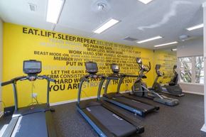 Charleston apartment for rent - Fitness Center at The Avenues of West Ashley in Charleston, SC