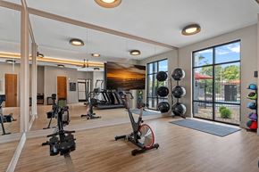 Greensboro apartment for rent - A gym with a variety of exercise equipment including treadmills, stationary bikes, and weightlifting equipment.
